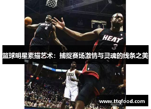 篮球明星素描艺术：捕捉赛场激情与灵魂的线条之美