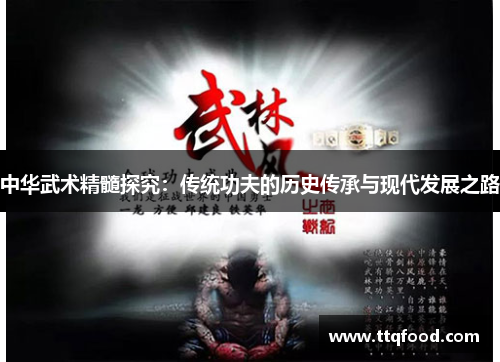 中华武术精髓探究：传统功夫的历史传承与现代发展之路