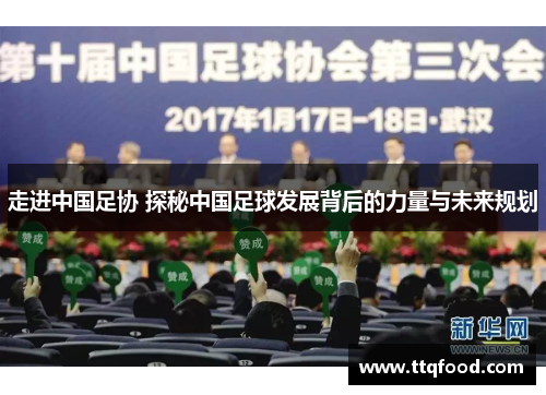 走进中国足协 探秘中国足球发展背后的力量与未来规划