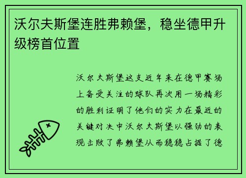 沃尔夫斯堡连胜弗赖堡，稳坐德甲升级榜首位置